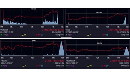 Xu hướng chứng khoán 31/3, giải ngân thăm dò những mã đang hút dòng tiền
