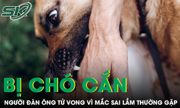 Người đàn ông tử vong sau khi bị chó cắn vì mắc sai lầm thường gặp