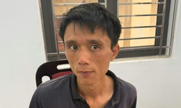 Thông tin chính thức vụ cháu họ sát hại cụ bà, phi tang thi thể trong vườn