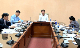 Thúc đẩy tiến độ Thông tư Danh mục bệnh bẩm sinh cần sàng lọc, chẩn đoán, điều trị trước sinh và sơ sinh