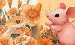 Tử vi 12 con giáp hôm nay 5/3: Thìn bất ổn, Tý công việc thuận lợi