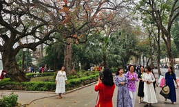 Miền Bắc có thể duy trì trời mát đến 20/3