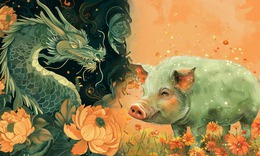 Tử vi 12 con giáp hôm nay 6/3: Hợi thuận lợi, Tý thu nhập tăng vọt