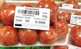 Chuyên gia chỉ cách bảo quản khoai tây, cà chua để lâu không hỏng