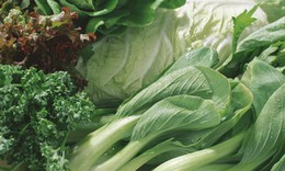 Top 5 loại rau xanh giàu canxi hơn sữa: Giải pháp tự nhiên cho xương chắc khỏe