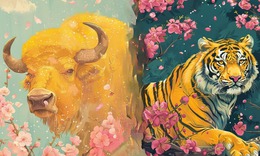 Tử vi 12 con giáp hôm nay 7/3: Sửu thăng trầm, Dậu tài lộc dồi dào