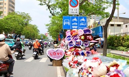 Đường phố TPHCM ngập tràn sắc hoa dịp 8/3