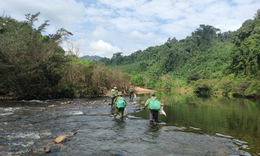 Gùi lương thực băng hơn 450km đường rừng bảo vệ động vật hoang dã quý hiếm