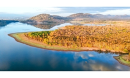 Đẹp ngỡ ngàng rừng khộp mùa thay lá