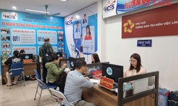 Có việc làm mới không khai báo thông tin vẫn hưởng trợ cấp thất nghiệp được không?