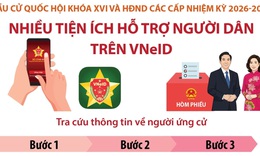 Nhiều tiện ích trên VNeID hỗ trợ người dân bầu cử