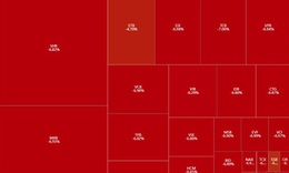 VN-Index giảm mạnh nhất lịch sử