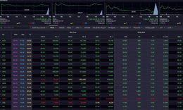 Xu hướng chứng khoán 2/4 nên tăng dần tỷ trọng cổ phiếu