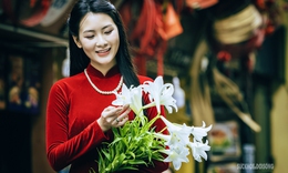 ẢNH: Tháng Tư dịu dàng trong sắc loa kèn