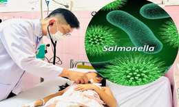 TPHCM: Mẫu xét nghiệm của học sinh Trường Bình Quới Tây dương tính Salmonella