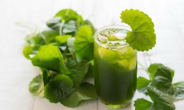 5 cách làm đẹp da từ rau má cực dễ