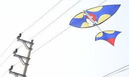 Thả diều gây mất điện, một người dân ở Hải Phòng bị phạt 5 triệu đồng