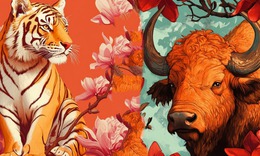 Tử vi 12 con giáp hôm nay 11/4: Thìn mệt mỏi, Mùi làm ăn khởi sắc