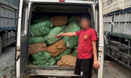 Phát hiện, thu giữ hơn 5 tấn nguyên liệu thuốc lá không rõ nguồn gốc