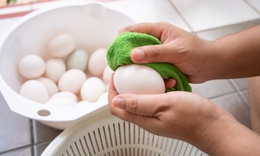 Bảo quản trứng thế nào để giữ được chất dinh dưỡng tốt nhất?
