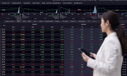 Chứng khoán phiên 14/4 tăng hơn 16 điểm nhờ nhóm vốn hóa lớn