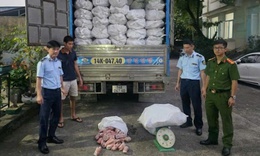 Ngăn chặn hơn 12 tấn chân lợn đông lạnh bốc mùi hôi ra thị trường