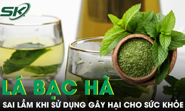 Sai lầm khi sử dụng lá bạc hà gây hại cho sức khỏe