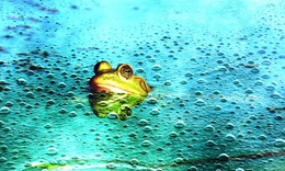 Lạm dụng AI có thể biến con người thành 'ếch luộc'