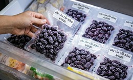 4 cách bảo quản quả dâu tằm để có thể sử dụng cả năm