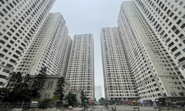 Cư dân HH Linh Đàm nhận phiếu khảo sát 'trả nhà - nhận tiền':  Dựa trên cơ sở pháp lý nào?