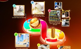 Viên uống yến sào của Ausmedic có tốt không? Góc nhìn từ khoa học và an toàn