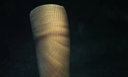 Hóa thạch bọt biển giúp vén màn bí ẩn kéo dài gần 160 triệu năm