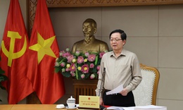 Phó Thủ tướng: Không để 'cắt chỗ này, ghép chỗ khác' trong cải cách thủ tục hành chính