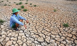 Bộ Nông nghiệp và Môi trường cảnh báo sớm về El Nino năm 2026