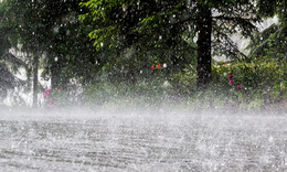 Cập nhật mới nhất thiệt hại do thiên tai dông lốc, mưa đá