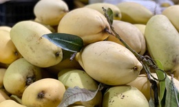 Một loại quả Việt bán đầy chợ giá rẻ bèo, xuất khẩu sang nước ngoài bán đắt như ‘vàng’