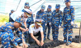 Vùng 4 Hải quân ươm, nhân giống 30.000 cây trồng thực hiện chương trình 'Xanh hóa Trường Sa'