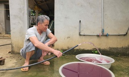 Truy tìm nguyên nhân nguồn nước sinh hoạt đổi màu tím, bốc mùi tanh hôi