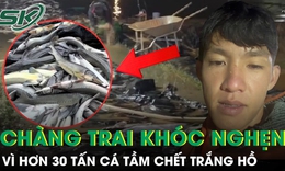Chàng trai khóc nghẹn vì hơn 30 tấn cá tầm chết trắng hồ, thiệt hại hàng tỉ đồng
