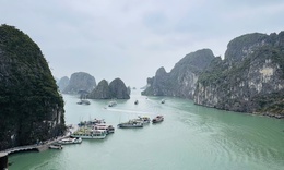 Siết chặt quản lý, tăng cường y tế bảo đảm an toàn trên Vịnh Hạ Long