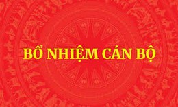 Danh sách Chủ tịch, Phó Chủ tịch UBND 31 tỉnh, thành phố vừa được Thủ tướng phê chuẩn