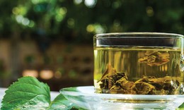 Cách dùng lá dâu tằm cải thiện giấc ngủ