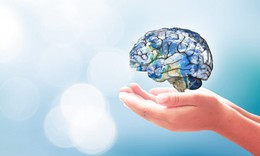 Điều gì xảy ra với não bộ nếu thường xuyên ăn cá 2 lần mỗi tuần?