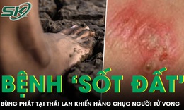 Bệnh ‘sốt đất’ bùng phát tại Thái Lan khiến hàng chục người tử vong