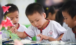 Ăn đúng lượng tinh bột để học tốt, chơi khỏe