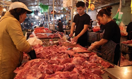 Hà Nội dự kiến xây mới, xây lại 108 chợ, giải tỏa tất cả các 'chợ cóc'