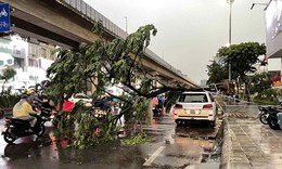 Không khí lạnh tiến sát biên giới nước ta, cảnh báo dông lốc rất mạnh từ đêm nay