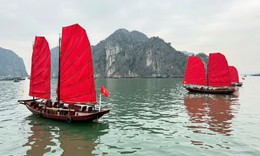 Lý do Quảng Ninh hoãn khai trương 'Thuyền ba vách Hạ Long'?