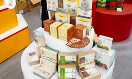 TRIMICO và mục tiêu phổ cập sâm Ngọc Linh với người tiêu dùng Việt Nam