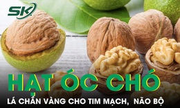 Hạt óc chó lá chắn vàng cho tim mạch, não bộ 